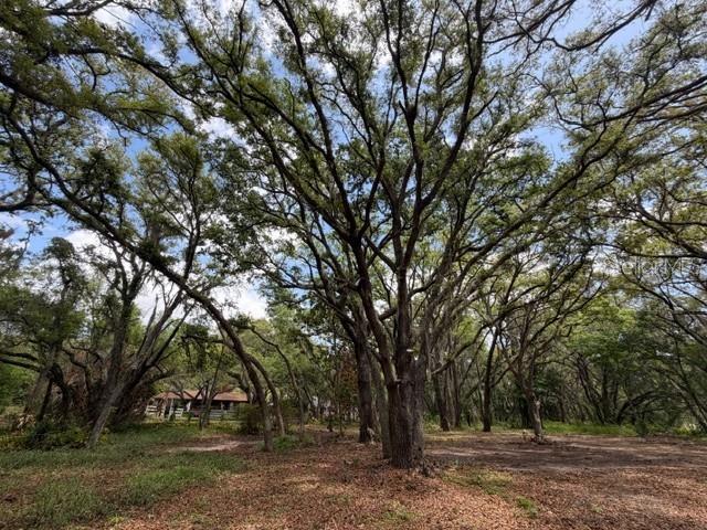 17144 PHIL C PETERS RD, WINTER GARDEN, FL — photo 7