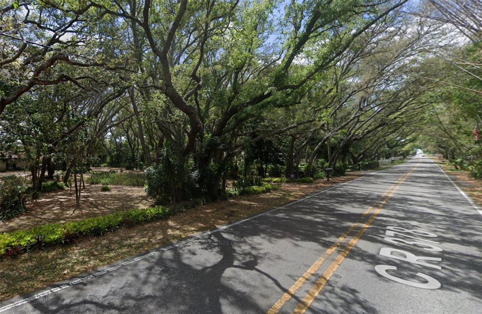 17144 PHIL C PETERS RD, WINTER GARDEN, FL — photo 5
