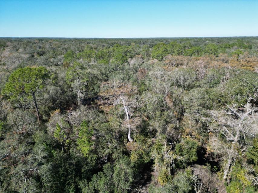 39716 TWORUT RD, WEBSTER, FL — photo 30