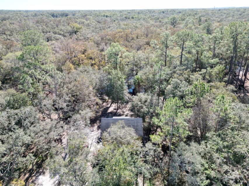 39716 TWORUT RD, WEBSTER, FL — photo 31