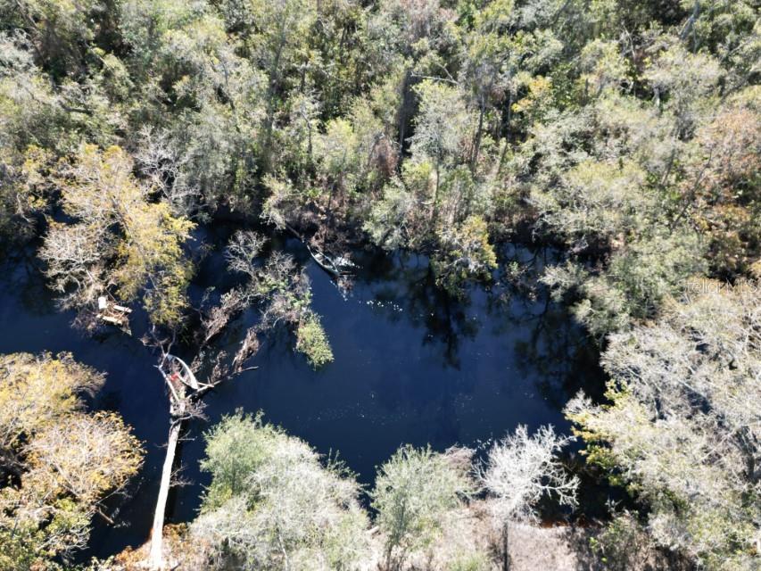 39716 TWORUT RD, WEBSTER, FL — photo 33