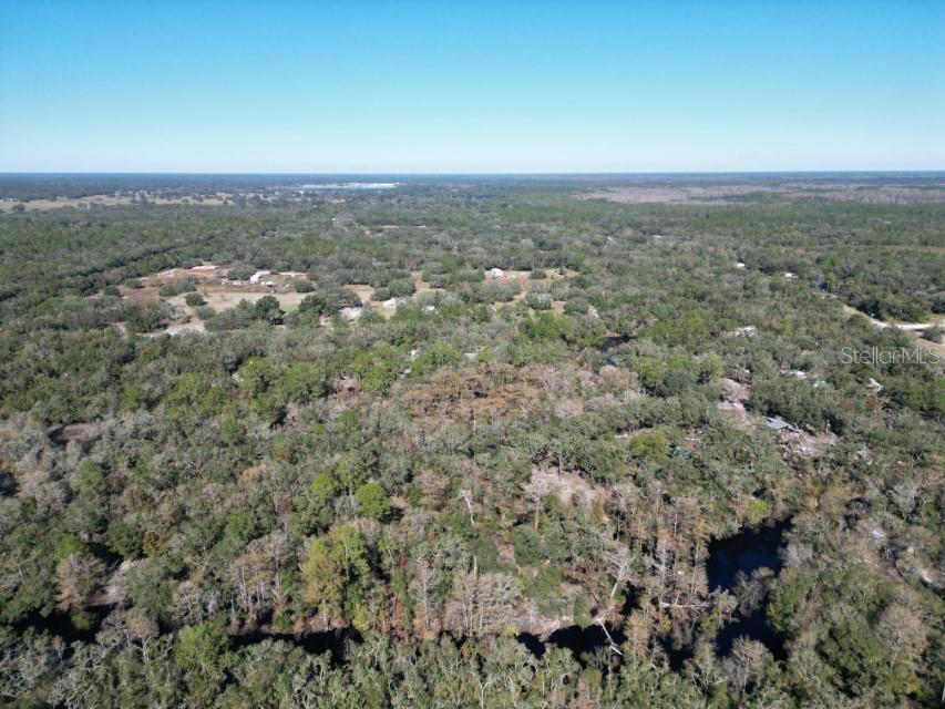 39716 TWORUT RD, WEBSTER, FL — photo 35