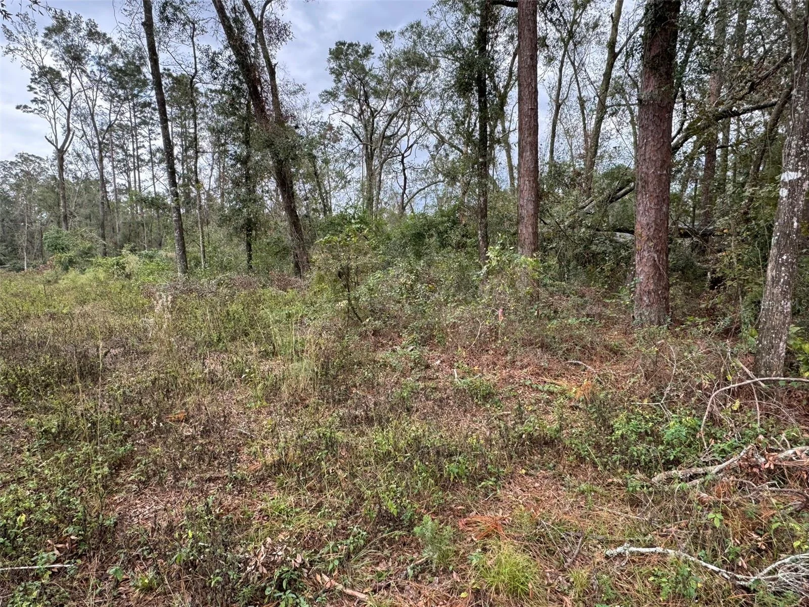 143RD DR, O'BRIEN, FL — photo 8