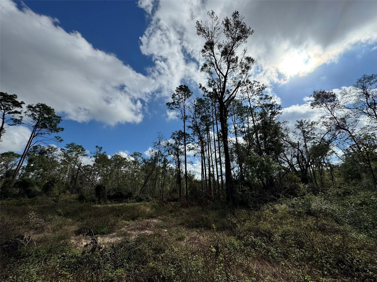 143RD DR, O'BRIEN, FL