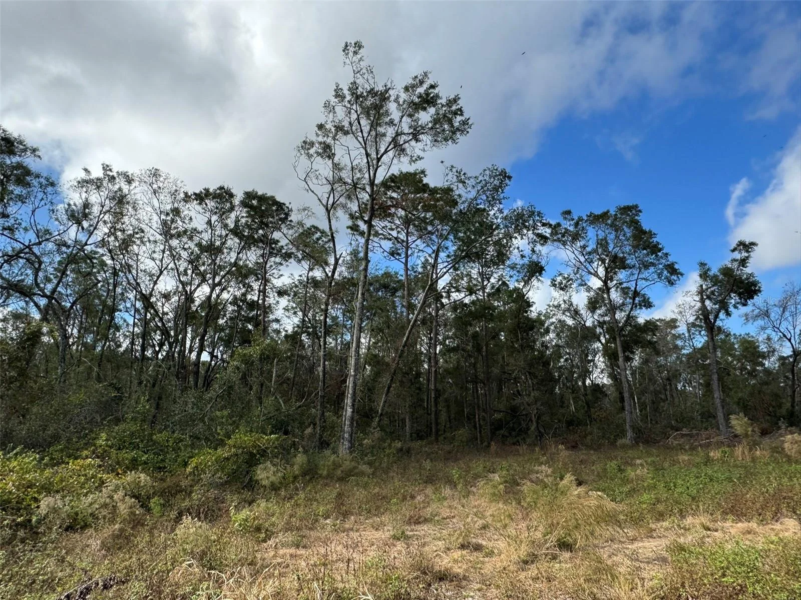 143RD DR, O'BRIEN, FL — photo 4