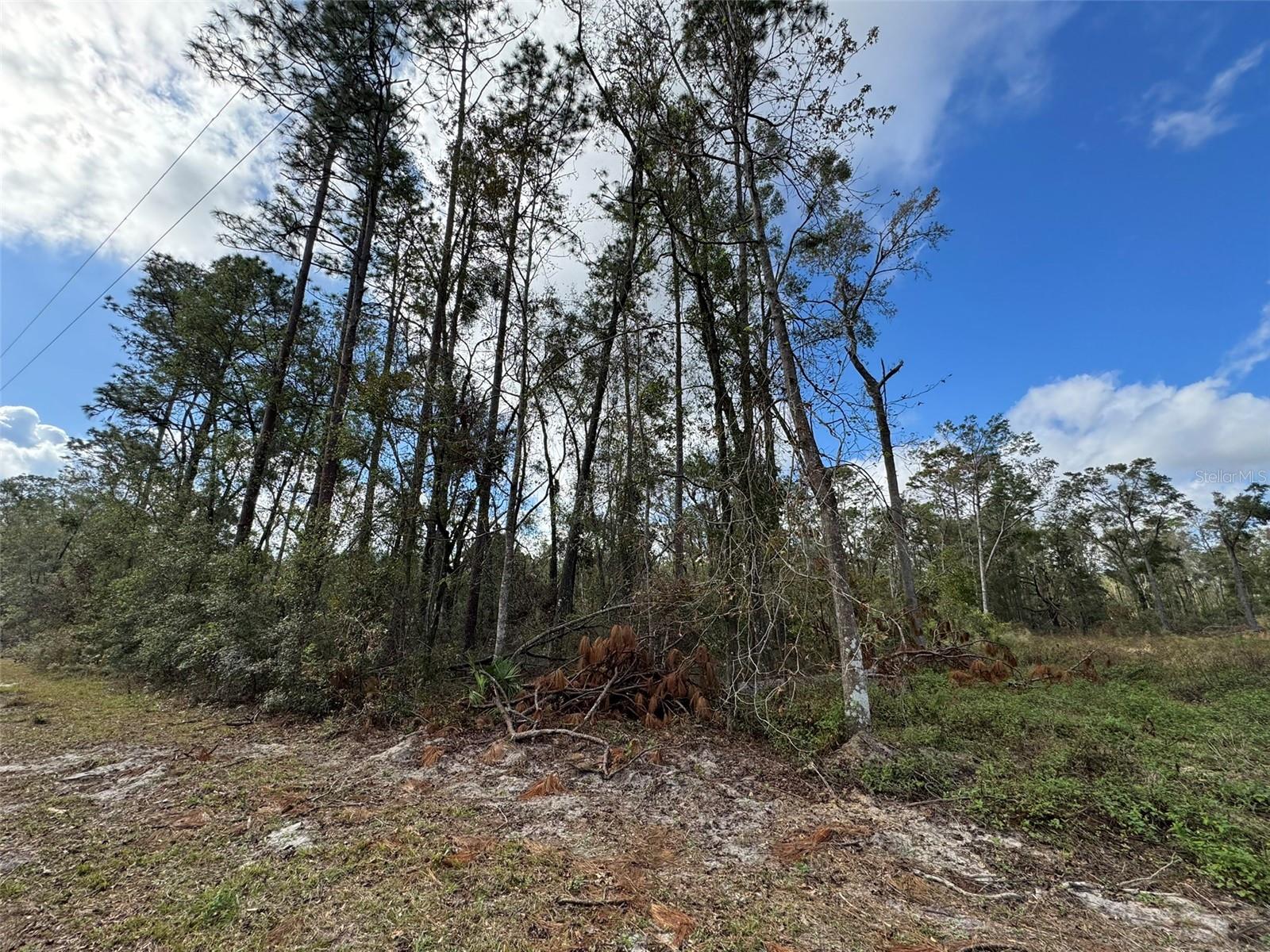 143RD DR, O'BRIEN, FL — photo 5