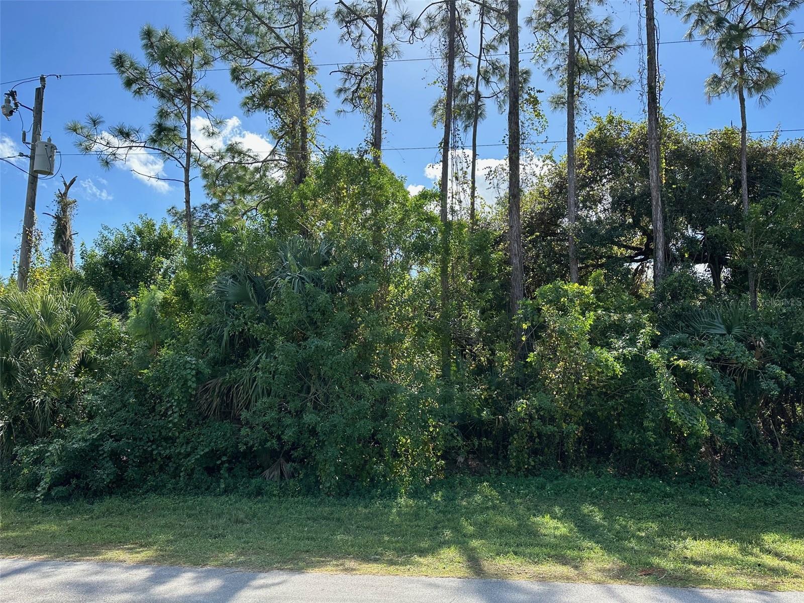 8042 WINDSWEPT CIR, LABELLE, FL — photo 2