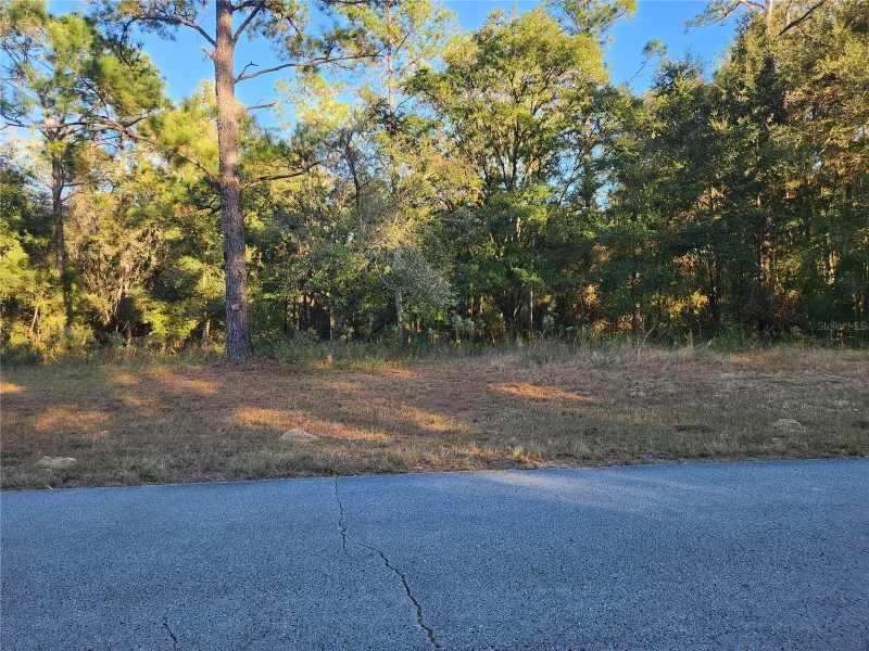 9155 N ALAMEDA DR, CITRUS SPRINGS, FL