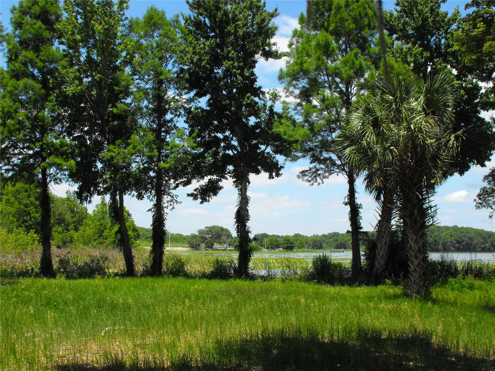 S US HWY 27 & HOWARD RD, LEESBURG, FL — photo 38