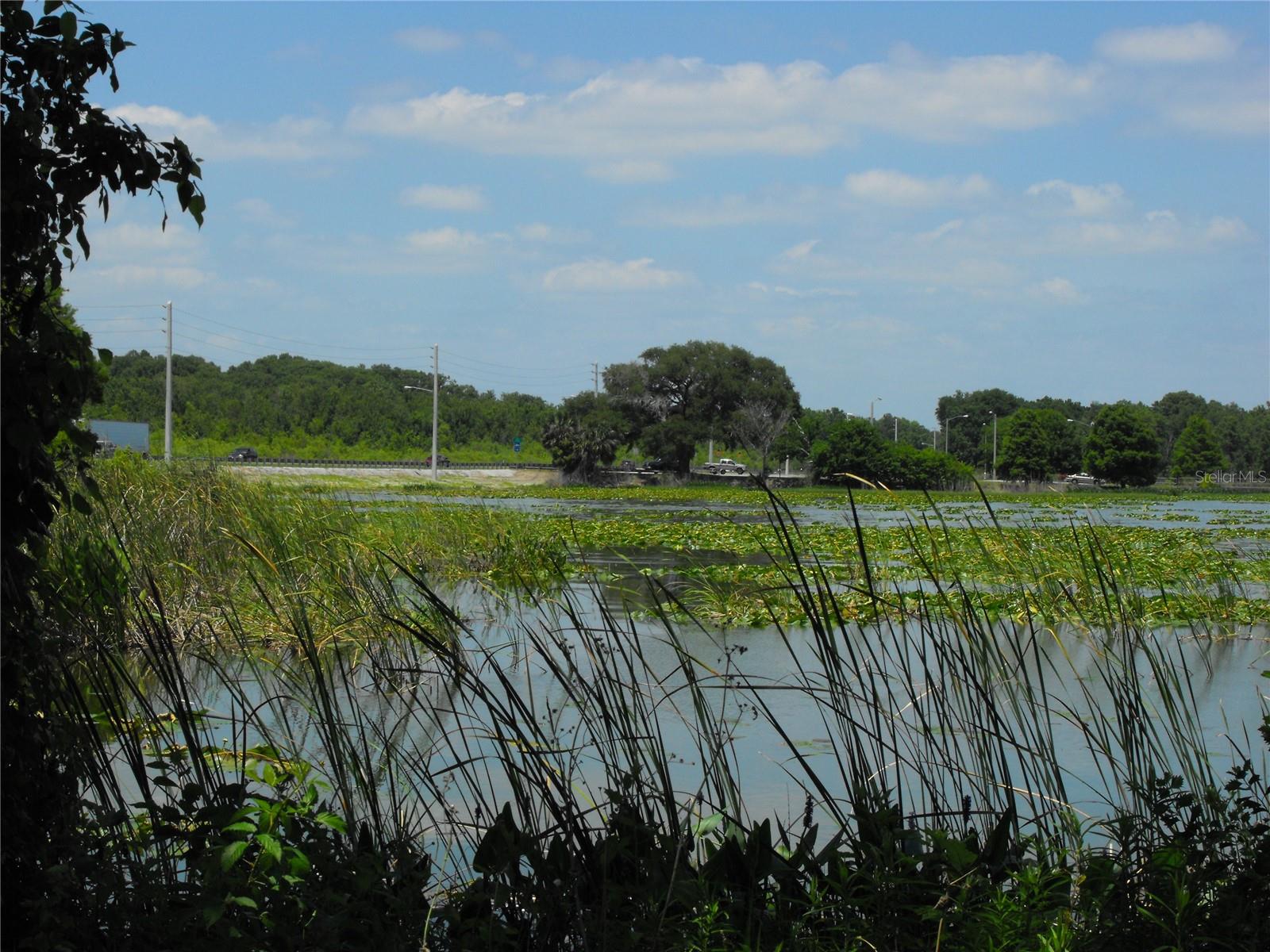 S US HWY 27 & HOWARD RD, LEESBURG, FL — photo 39
