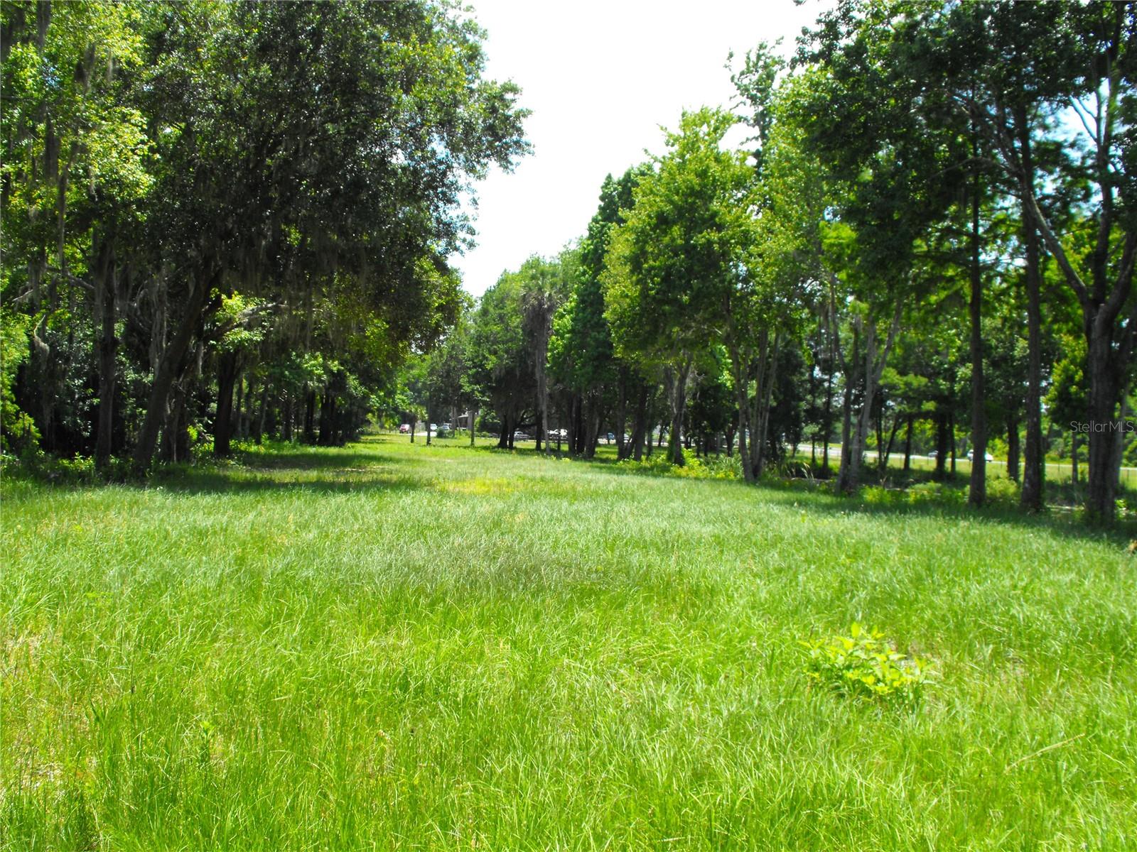 S US HWY 27 & HOWARD RD, LEESBURG, FL — photo 42