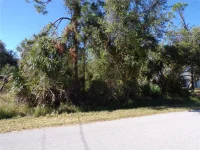 NORA LN — photo 2