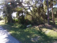 NORA LN — photo 11