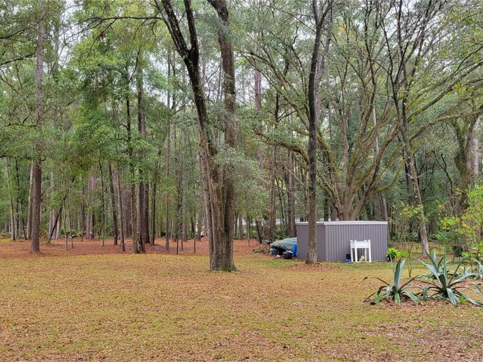 1260 SW 91ST ST, GAINESVILLE, FL — photo 3