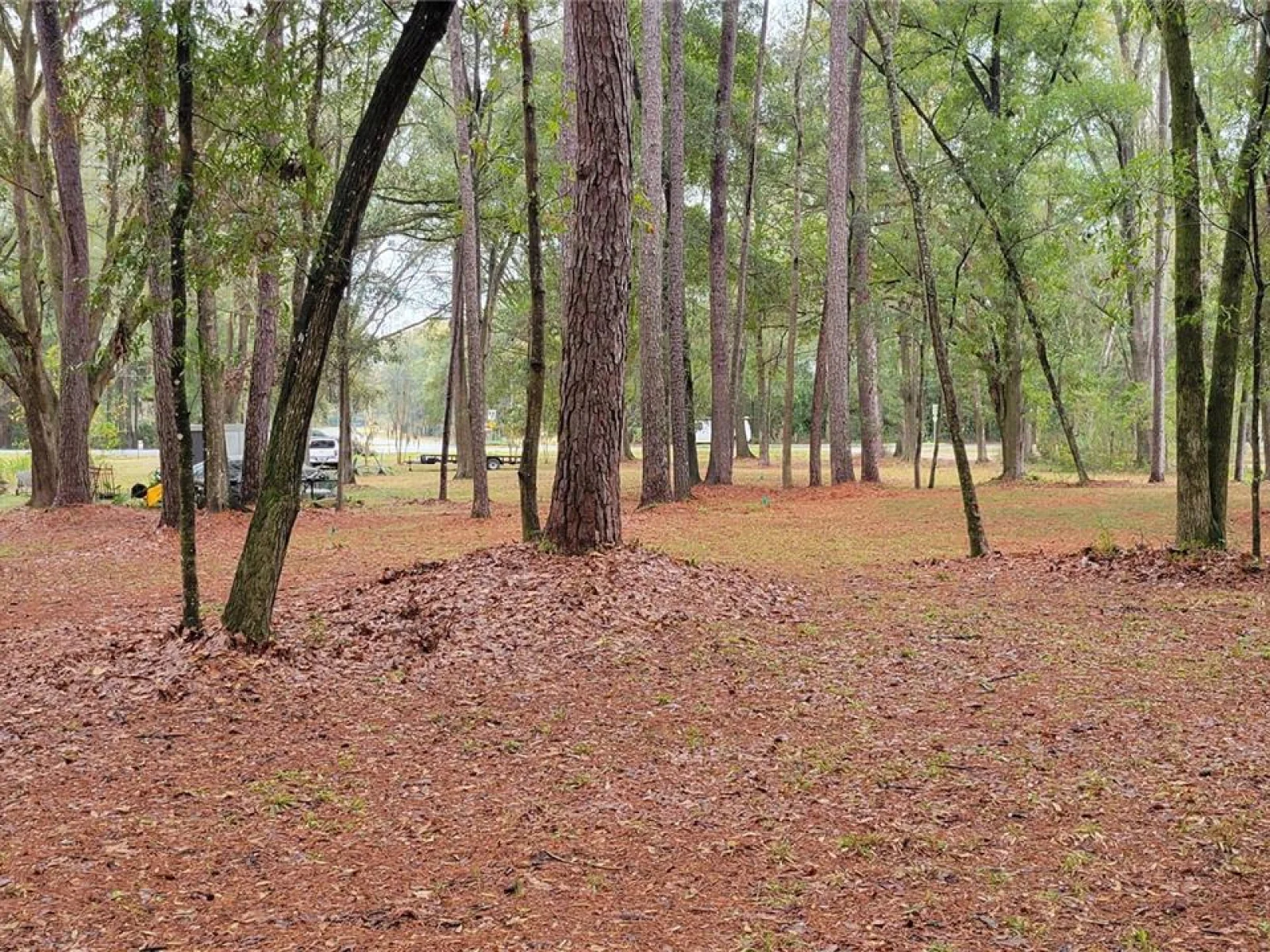 1260 SW 91ST ST, GAINESVILLE, FL — photo 8