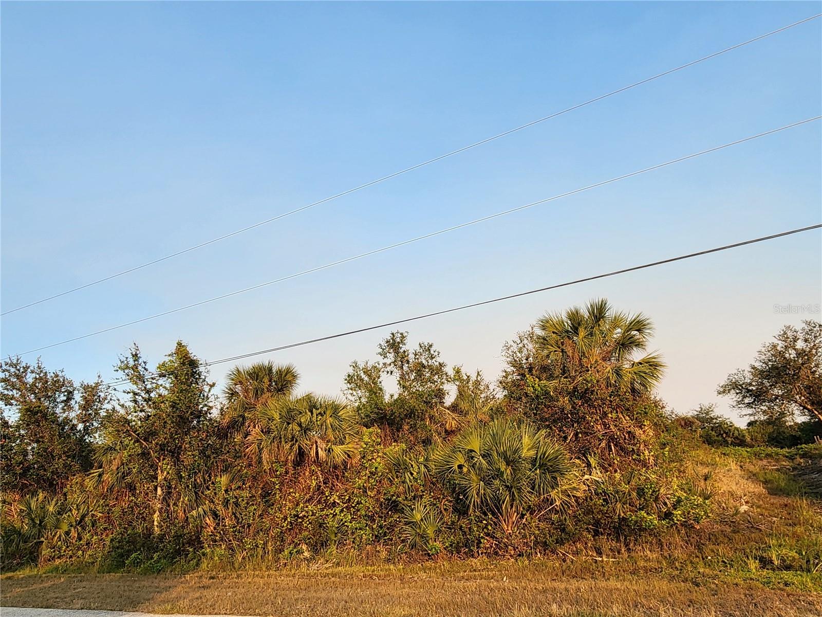 13369 APPLETON BLVD, PORT CHARLOTTE, FL — photo 5