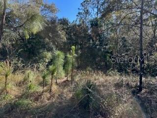 7991 N TINY LILY DR, CITRUS SPRINGS, FL — photo 3