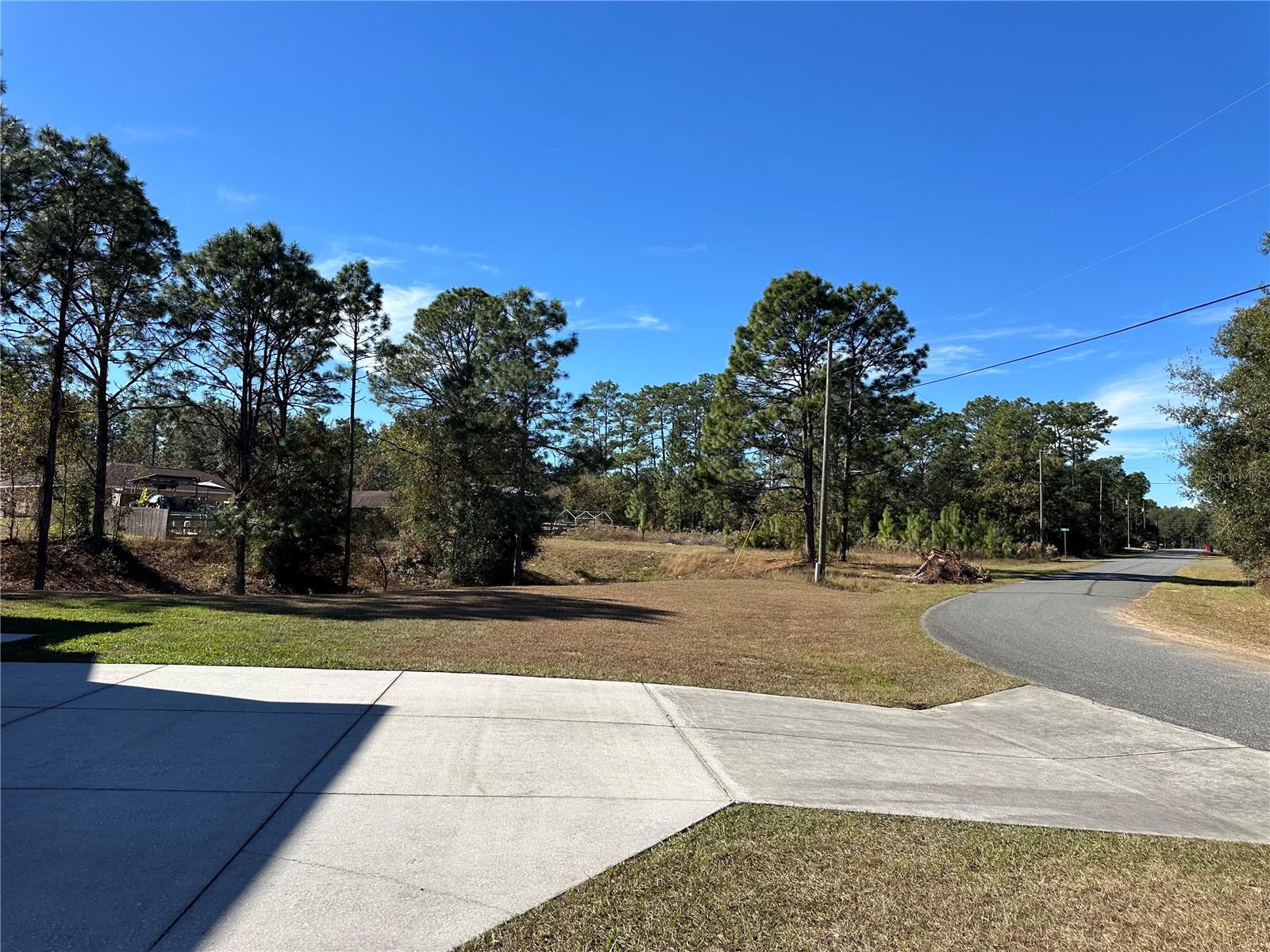 7991 N TINY LILY DR, CITRUS SPRINGS, FL — photo 8