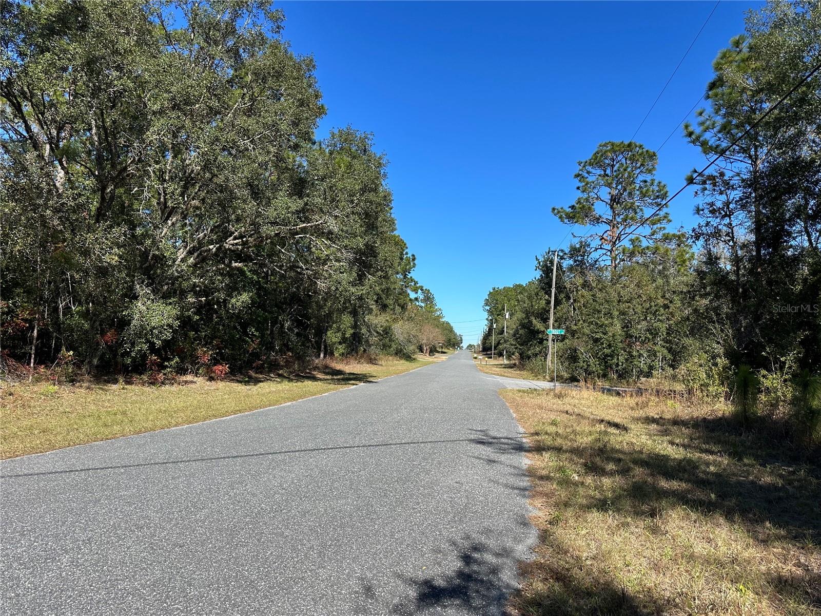 7991 N TINY LILY DR, CITRUS SPRINGS, FL — photo 10