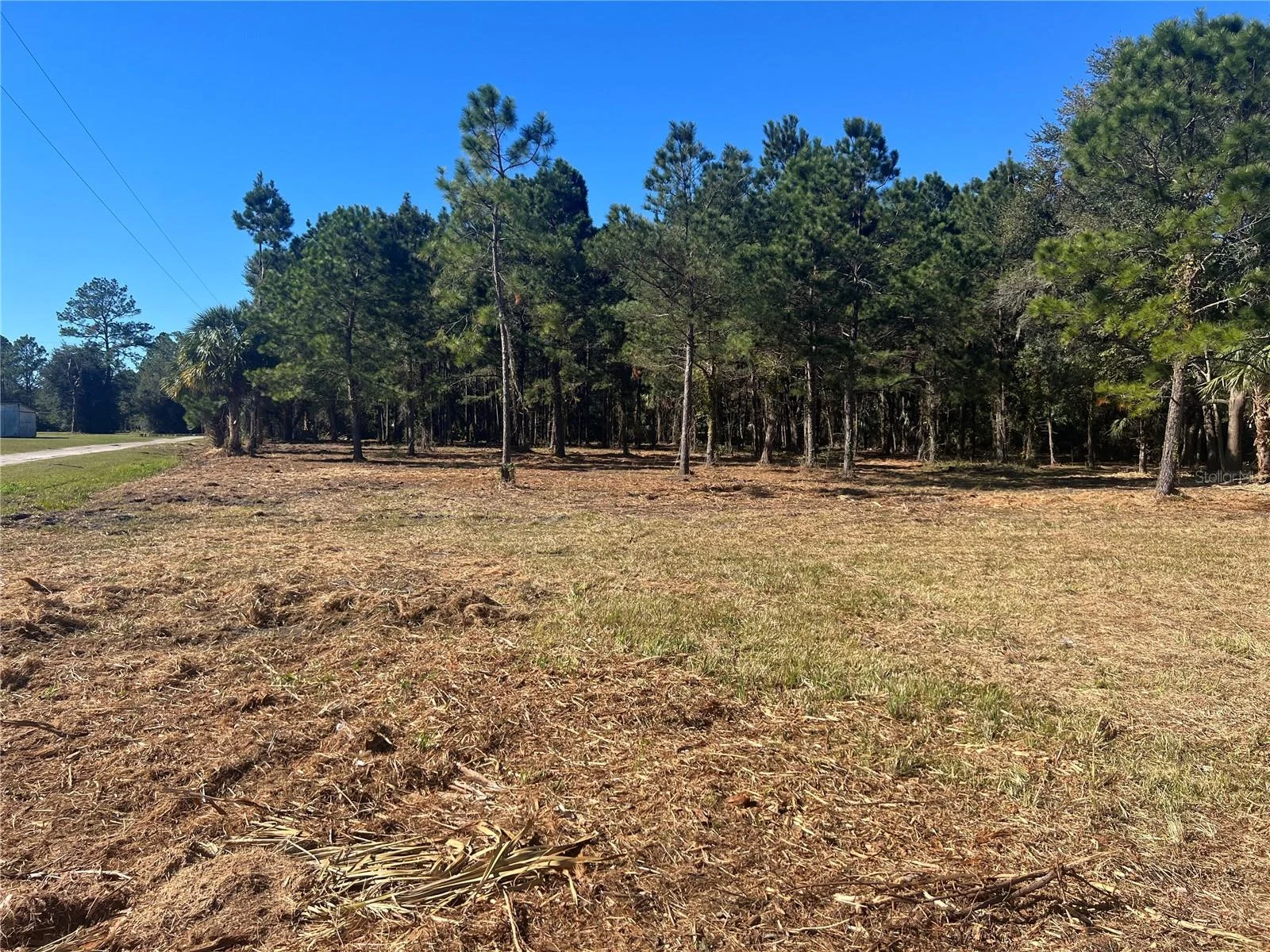 17802 US-301, WALDO, FL — photo 2