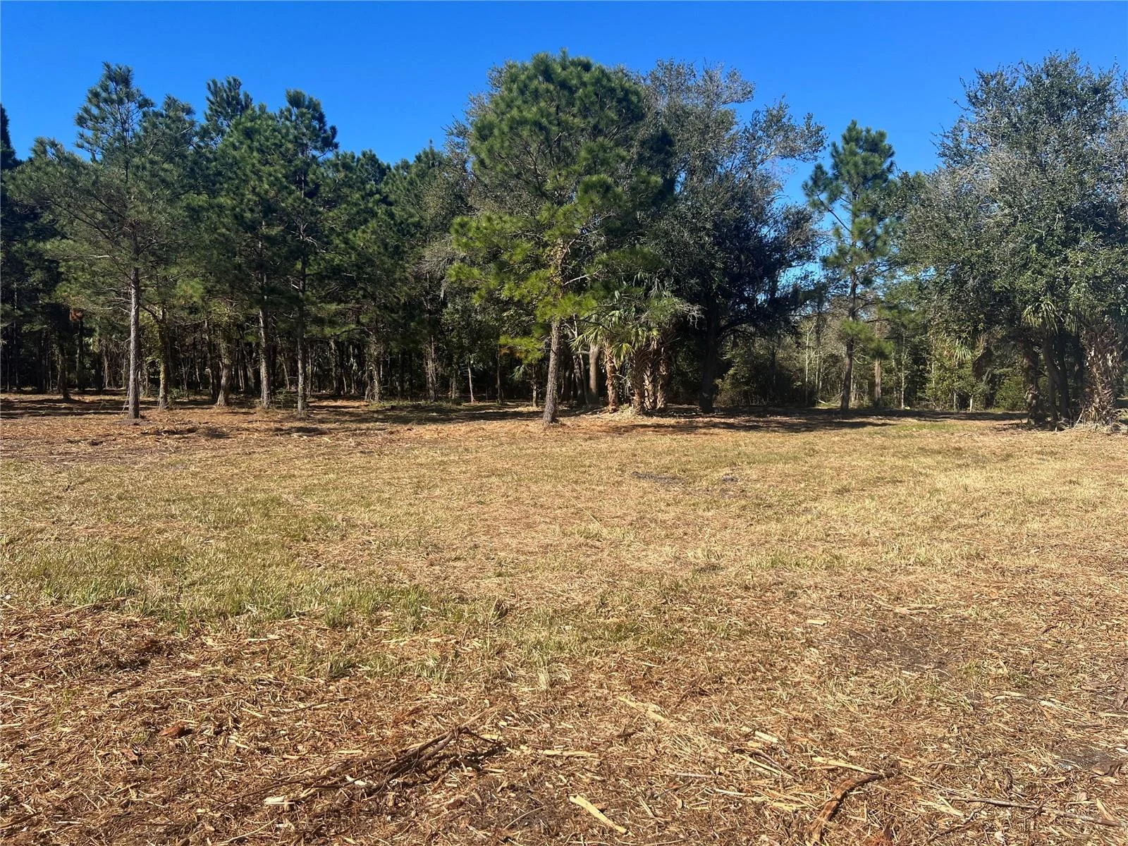 17802 US-301, WALDO, FL — photo 9