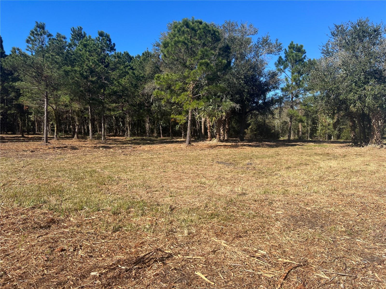 17802 US-301, WALDO, FL — photo 10