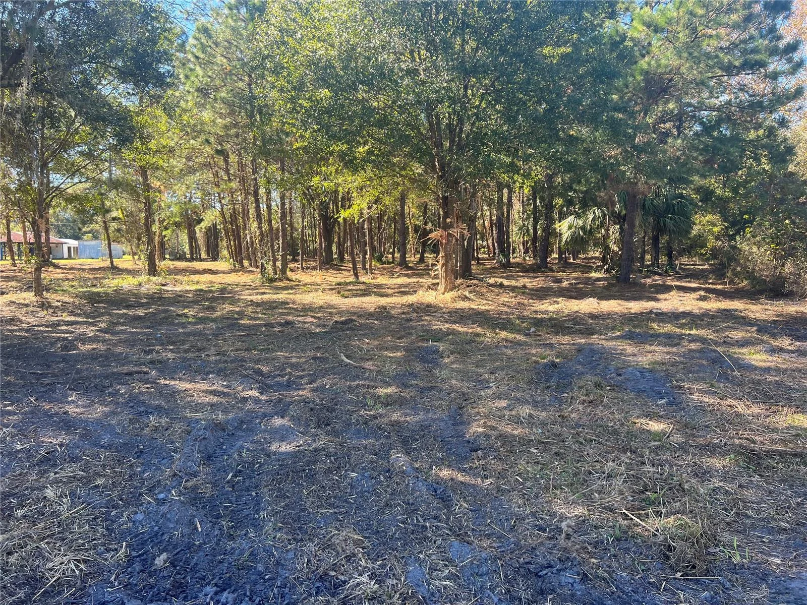 17802 US-301, WALDO, FL — photo 22