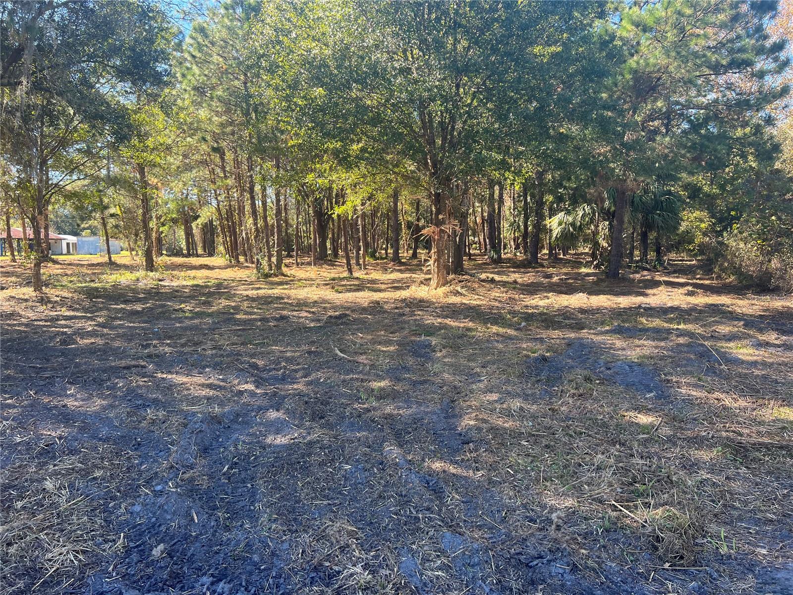 17802 US-301, WALDO, FL — photo 21