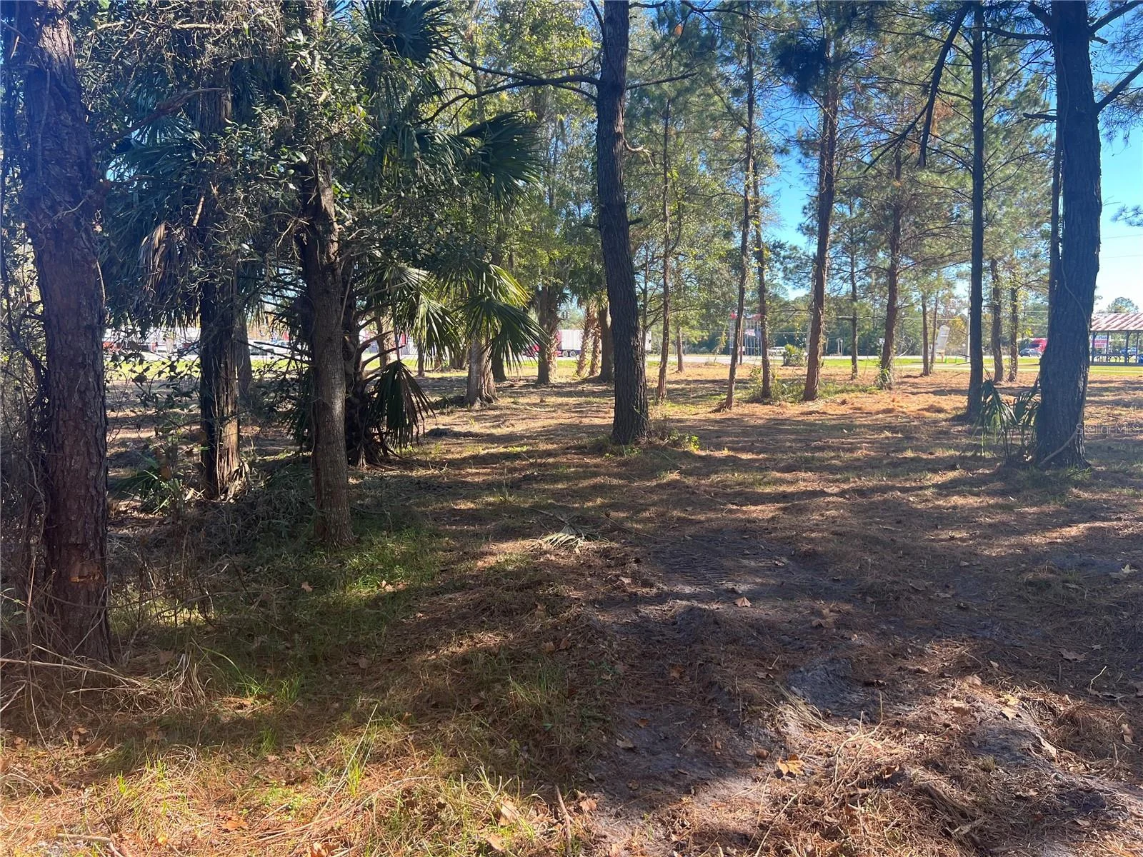 17802 US-301, WALDO, FL — photo 23