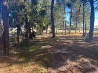 17802 US-301 — photo 23
