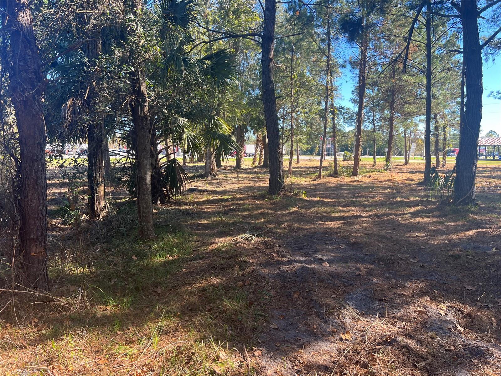17802 US-301, WALDO, FL — photo 24