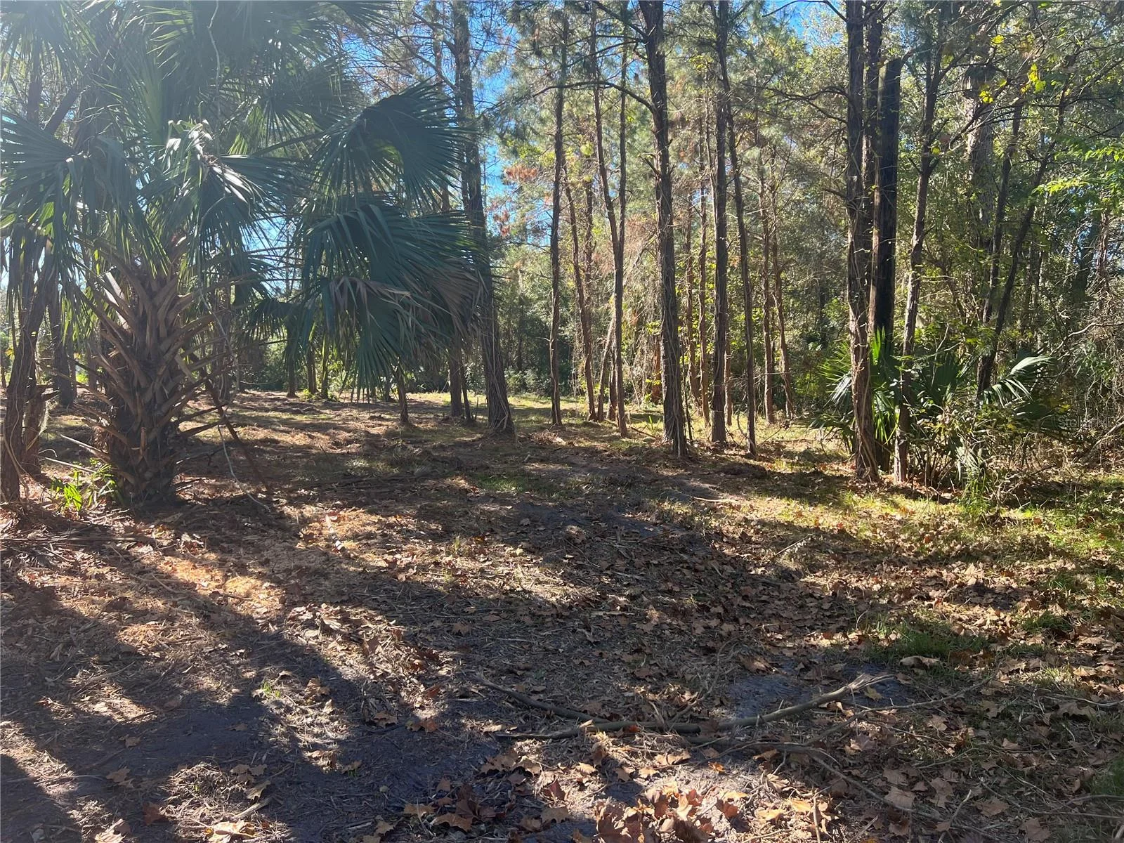 17802 US-301, WALDO, FL — photo 25