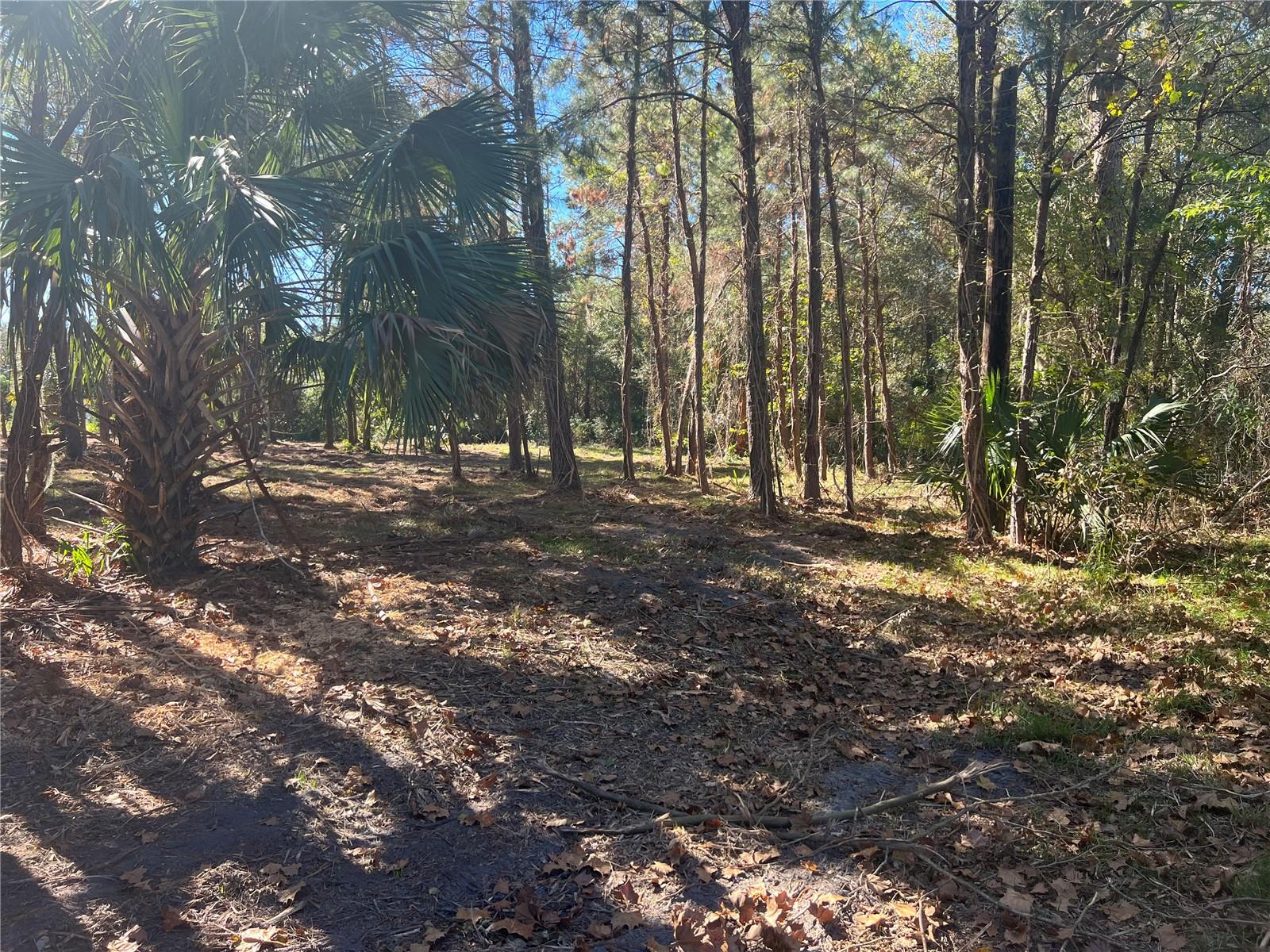 17802 US-301, WALDO, FL — photo 26