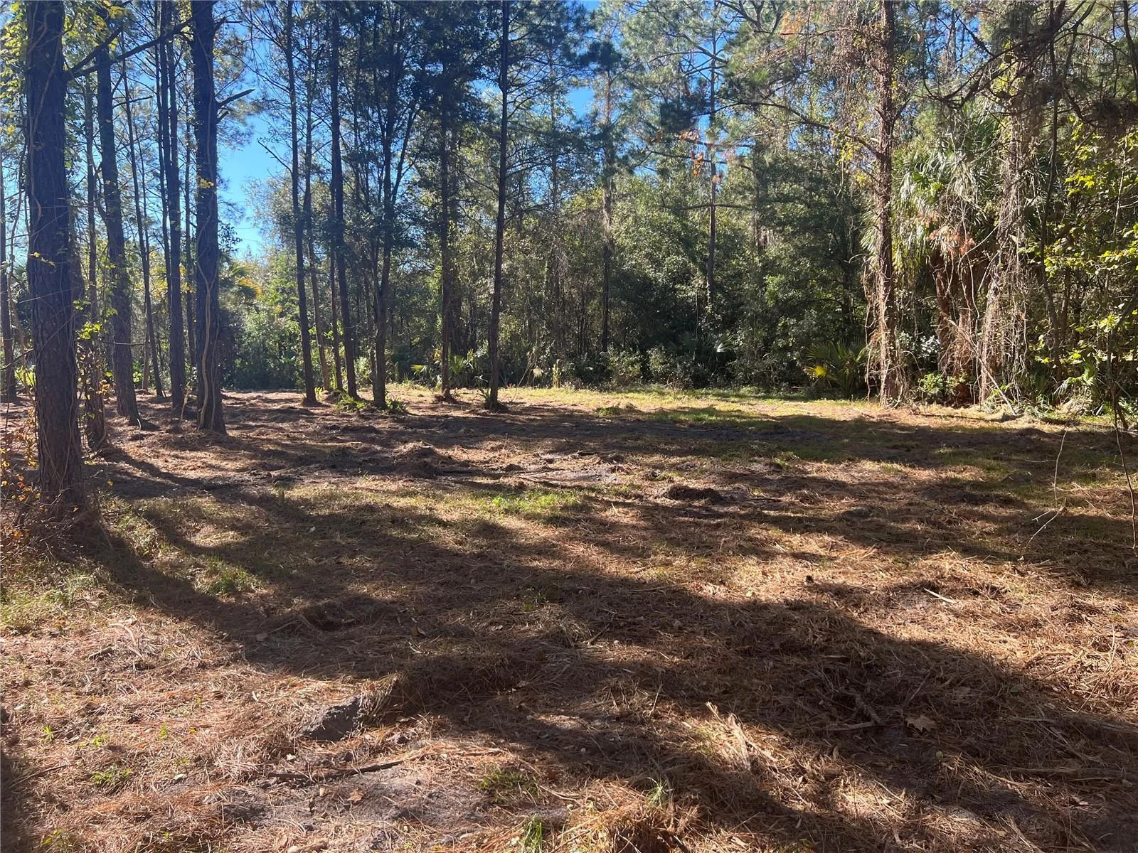 17802 US-301, WALDO, FL — photo 28