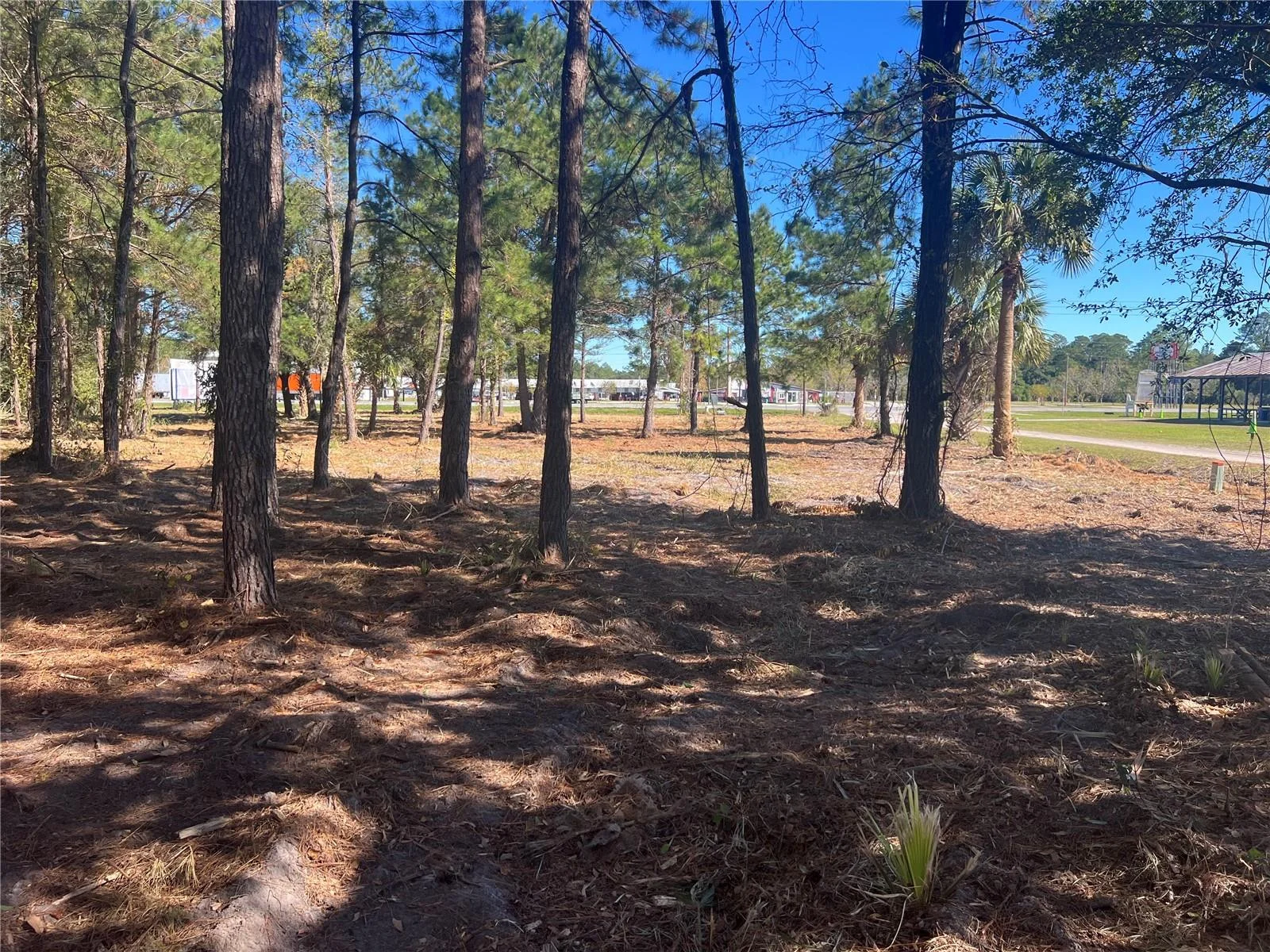 17802 US-301, WALDO, FL — photo 30