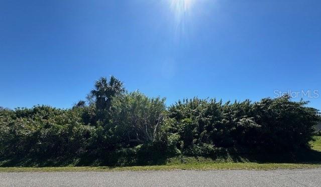 LEHIGH RD, VENICE, FL — photo 3