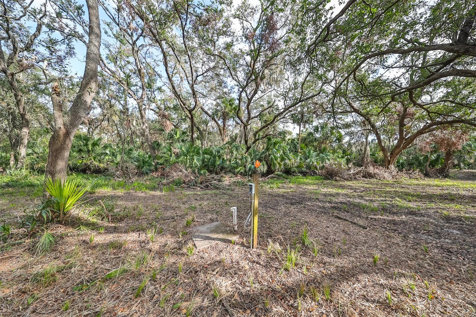 8839 RICHMOND ST, GIBSONTON, FL — photo 23