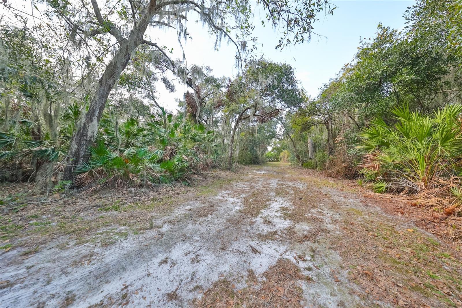 8839 RICHMOND ST, GIBSONTON, FL — photo 14