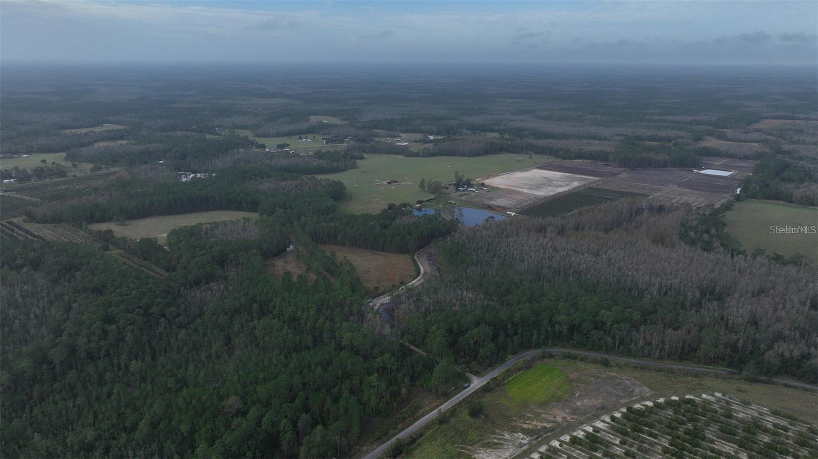 BERRY GROVES RD DR, CLERMONT, FL — photo 5