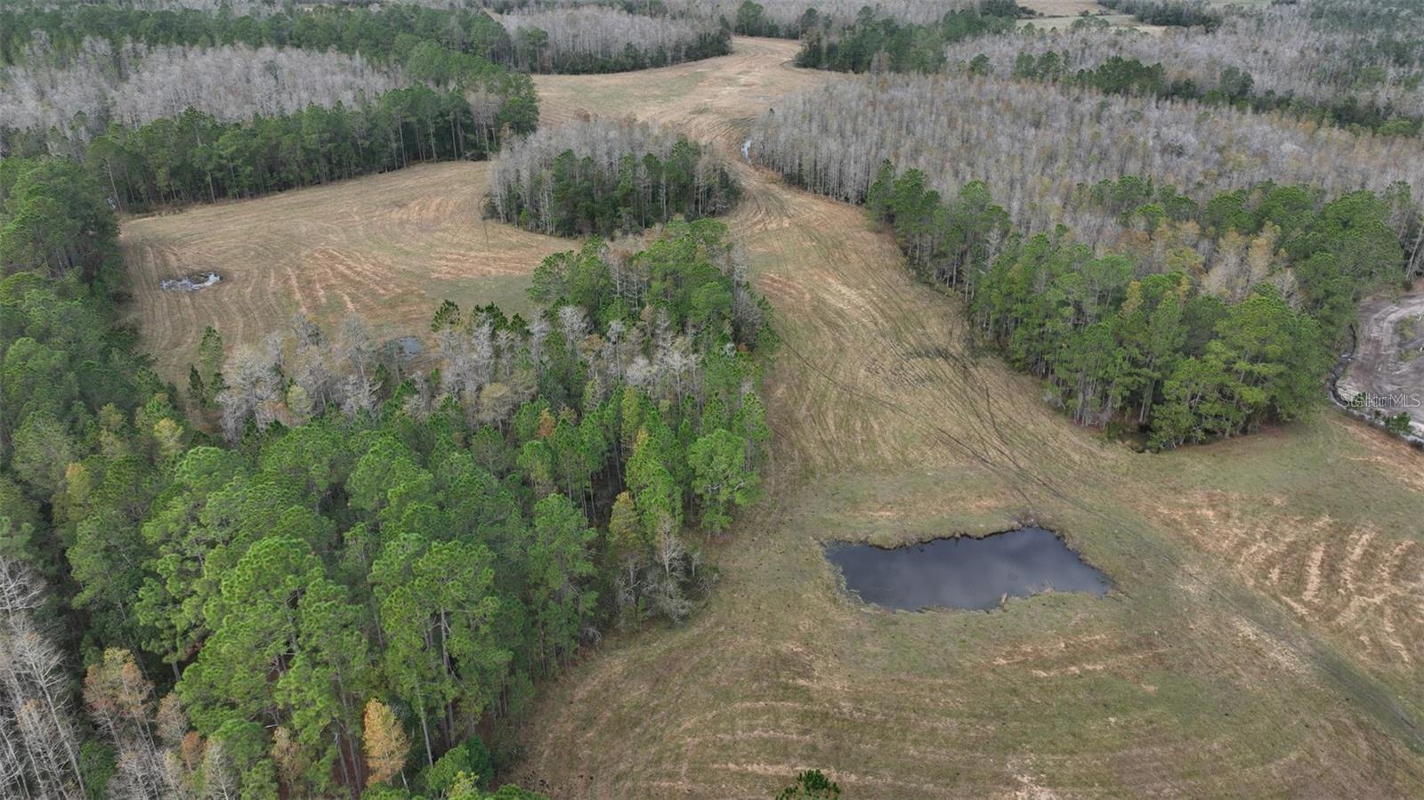 BERRY GROVES RD DR, CLERMONT, FL — photo 7