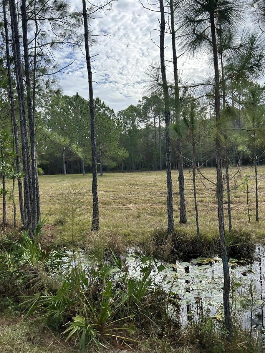 BERRY GROVES RD DR, CLERMONT, FL — photo 10