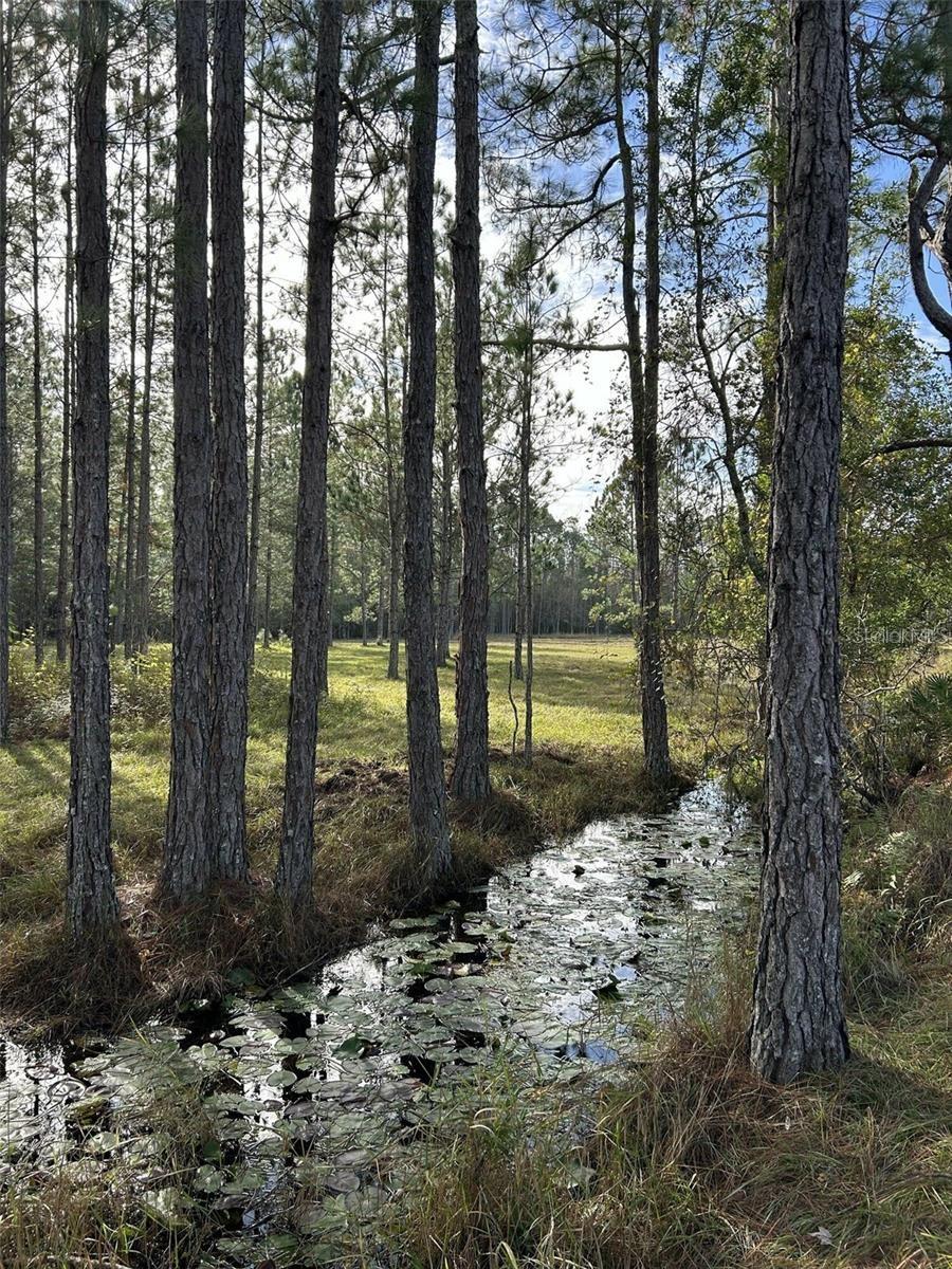 BERRY GROVES RD DR, CLERMONT, FL — photo 12