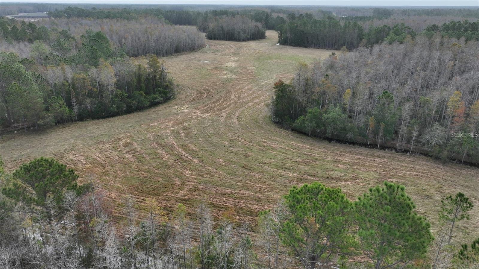 BERRY GROVES RD DR, CLERMONT, FL — photo 13