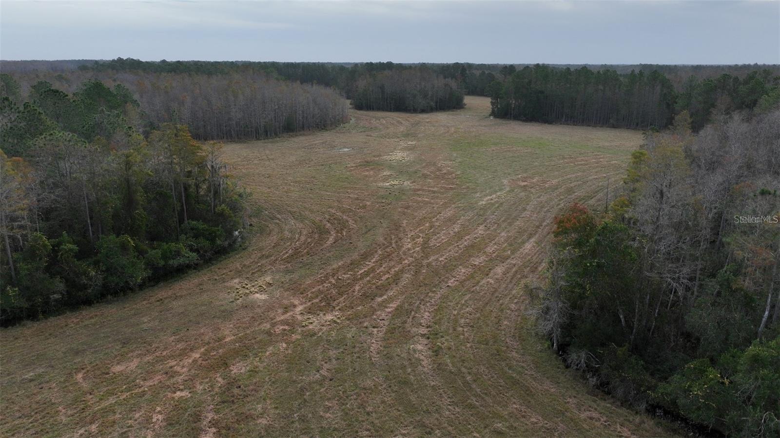 BERRY GROVES RD DR, CLERMONT, FL — photo 15