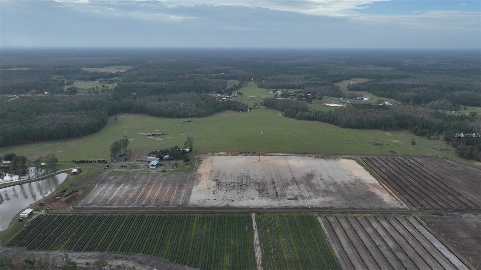 BERRY GROVES RD DR, CLERMONT, FL — photo 18