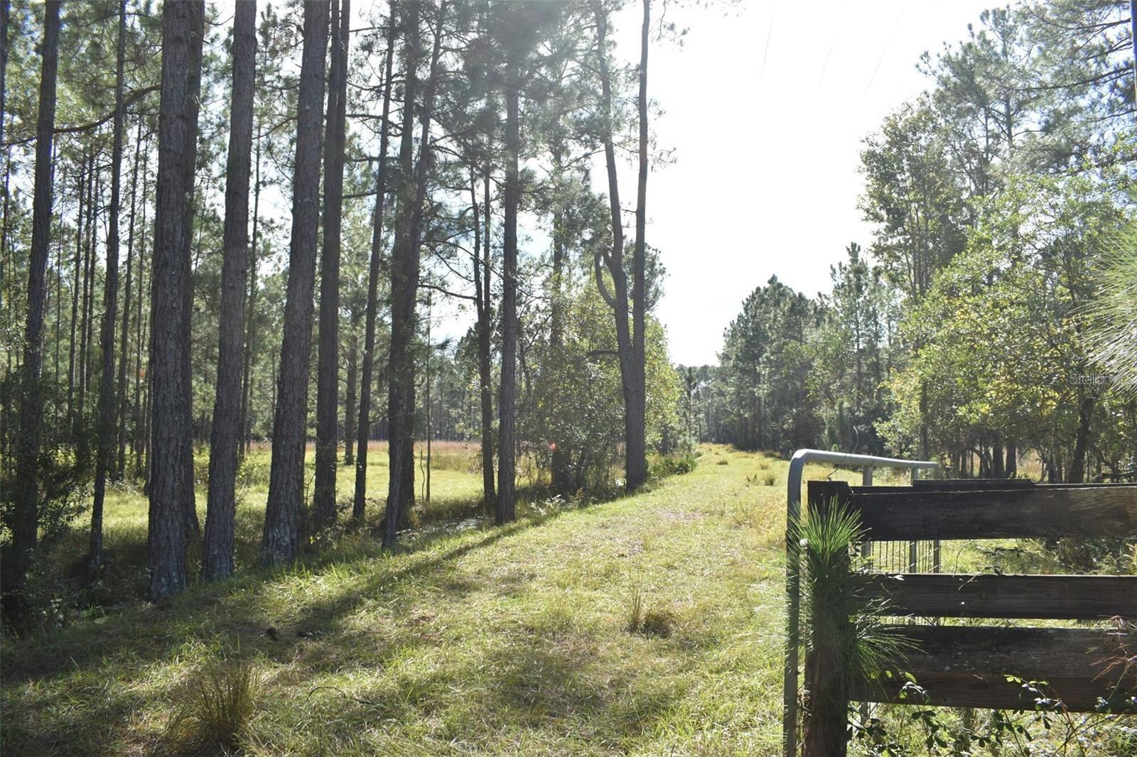 BERRY GROVES RD DR, CLERMONT, FL — photo 20