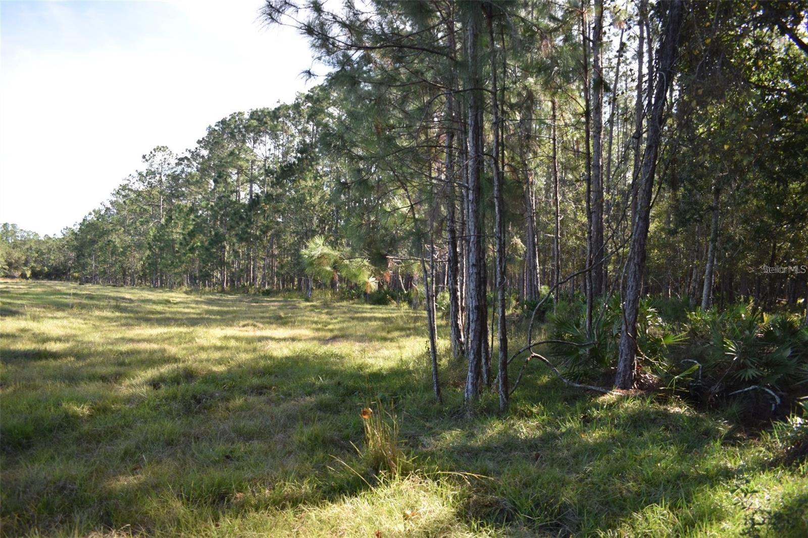 BERRY GROVES RD DR, CLERMONT, FL — photo 24