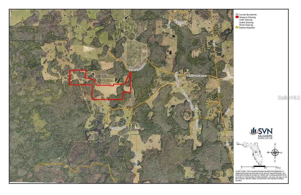 BERRY GROVES RD DR, CLERMONT, FL — photo 31