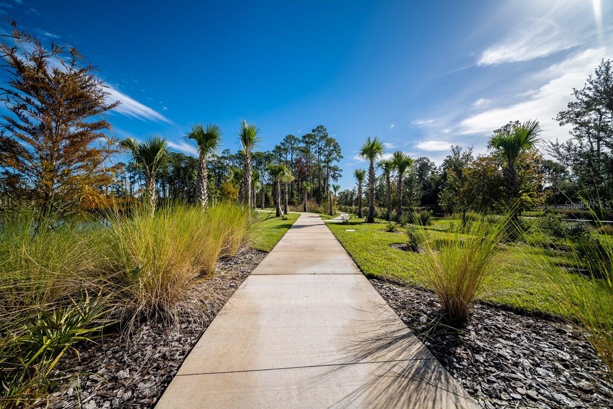 11929 PIONEERS WAY #A2, ORLANDO, FL — photo 23