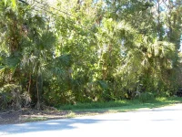 332 PATRICIA DR — photo 2